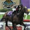 WORLD THOROUGHBRED CHAMPION