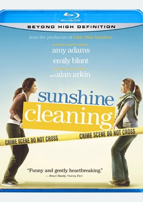 Sunshine Cleaning 2 Sunshine Cleaning