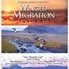 Winged Migration