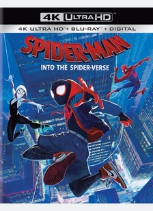 Spider-Man: Into the Spider-Verse 1 Spider-Man: Into the Spider-Verse