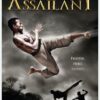 The Assailant