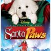 The Search for Santa Paws