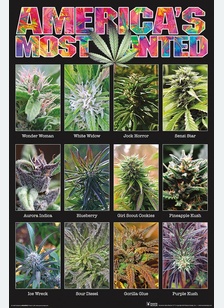 America's Most Wanted