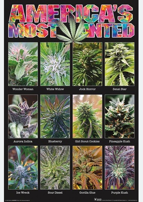 America's Most Wanted