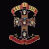Appetite For Destruction [PA]
