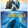 Big Miracle