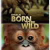 Born to Be Wild (IMAX)