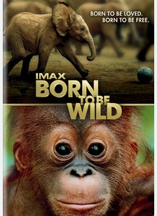 Born to Be Wild (IMAX) 1 Born to Be Wild (IMAX)