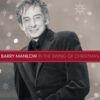 "In The Swing of Christmas"