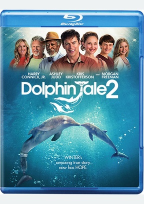 Dolphin Tale 2 2 Dolphin Tale 2