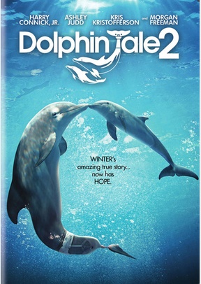 Dolphin Tale 2 2 Dolphin Tale 2