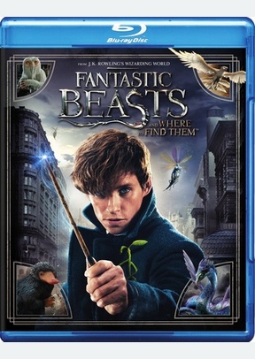 Fantastic Beasts and Where to Find Them 2 Fantastic Beasts and Where to Find Them