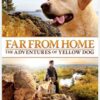 Far From Home: The Adventures Of Yellow Dog