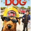 Firehouse Dog