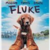 Fluke