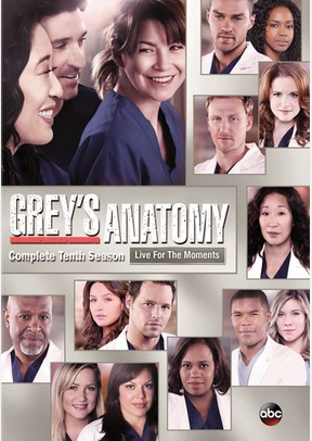 Grey's Anatomy: Complete Tenth Season 2 Grey's Anatomy: Complete Tenth Season