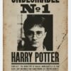 Harry Potter - Undesirable No 1 Wanted Poster