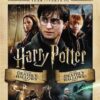 Harry Potter: Year 7