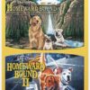 Homeward Bound: The Incredible Journey / Homeward Bound II: Lost San Francisco