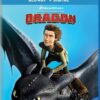 How to Train Your Dragon