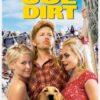 Joe Dirt