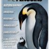 March of the Penguins