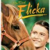 My Friend Flicka