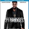 21 Bridges