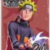 Naruto Shippuden: Box Set 24