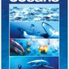 Oceans