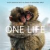 One Life