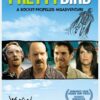 Pretty Bird