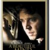 A Beautiful Mind