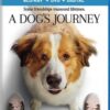 A Dog's Journey