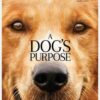 A Dog's Purpose