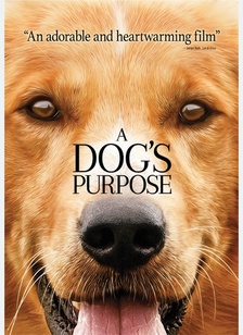 A Dog's Purpose 1 A Dog's Purpose