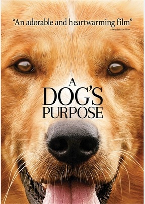 A Dog's Purpose 2 A Dog's Purpose