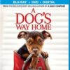 A Dog's Way Home