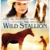 The Wild Stallion
