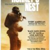 The Hornet's Nest