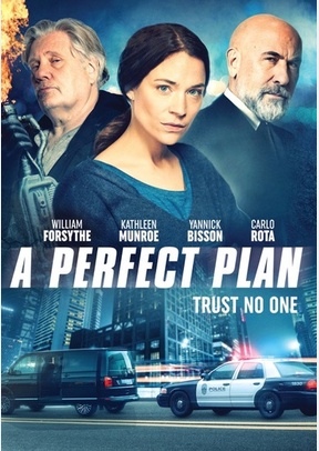 A Perfect Plan 2 A Perfect Plan