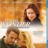 To the Wonder