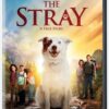 The Stray