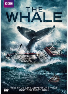 The Whale 1 The Whale