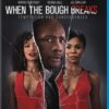 When the Bough Breaks