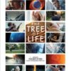 The Tree of Life