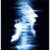 White Noise 2